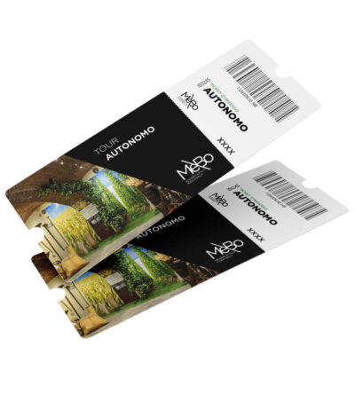 ticket autonomo